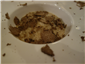summer truffle risotto